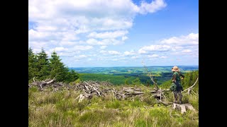 Delivering a Nature Recovery Action Plan for Powys [upl. by Nylednarb]