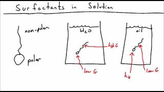 Introduction to Surfactants [upl. by Anomor]