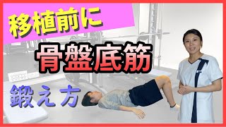 移植前に骨盤底筋トレーニング！着床のために鍛えたい骨盤底筋群【自宅妊活そあら鍼灸院】 [upl. by Olivia672]