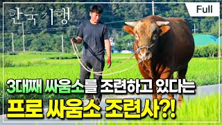 Full 한국기행  대를 어어 합니다 2부 소를 조련하는 부자 [upl. by Pardoes]