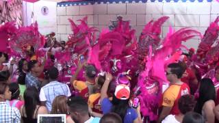 Primera Salida 2015 Del Grupo De Carnaval Los Guacamayos [upl. by Notffilc]