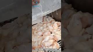 VERFOODSOLUTIONS Chain Belt Type 80 Needles Chicken Drumsticks Brine Injector Machine Test for Itali [upl. by Esilehs465]