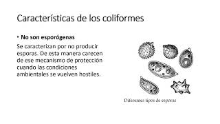 Coliformes Totales y Fecales [upl. by Hocker]