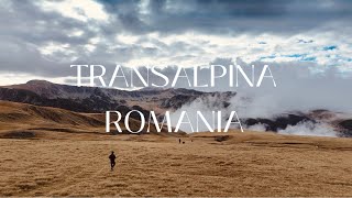 Transalpina Romania l 🇷🇴 you must go😍 romania europe travel mountains dji [upl. by Aiksas82]