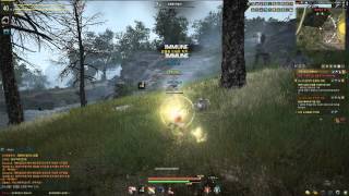 Black Desert Online 06  Level 40 fun and some news [upl. by Resee]