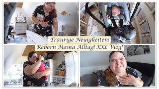 Traurige Infos  Reborn Mama Alltag  XXL Vlog  Reborn Baby Deutsch  Little Reborn Nursery [upl. by Noirod]