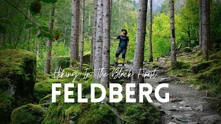 Feldberg  Hiking The Black Forest Highest Peak [upl. by Portwin253]