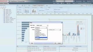 Create 1st Report with BI Publisher [upl. by Eeslehc]