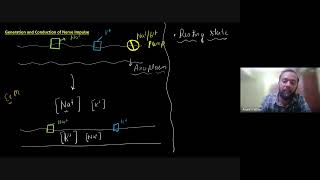 Neural Control and Coordination  Conduction of Nerve Impulse  12th NEET Biology  5th Nov 2024 [upl. by Neumark]