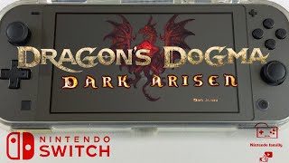 Dragons Dogma Nintendo Switch Lite gameplay 4k [upl. by Nanny]