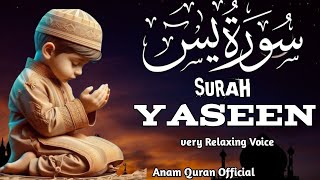 🔴Surah Yasin Yaseen with Urdu Translation  Quran Tilawat Beautiful Voice  Anam Quran official [upl. by Corine]