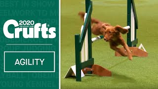 Agility  Championship Final  Crufts 2020 [upl. by Dier]