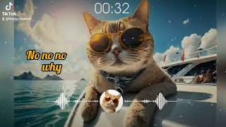 Go London Cat Song [upl. by Rafael]