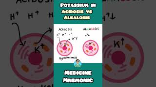 Potassium levels in Acidosis vs Alkalosis  Hypokalemia vs Hyperkalemia NEET PGNCLEX INICETUSMLE [upl. by Fagan]