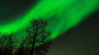 Northern Lights at Tromsø Norway Frost Enslaved [upl. by Nannaihr]