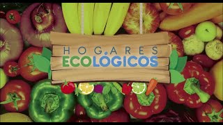 Programa Hogares Ecológicos [upl. by Middendorf]