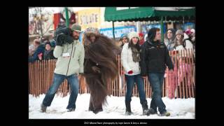 2012 IDITAROD PHOTO GALLERY March 3 amp 4 2012 [upl. by Longo655]