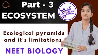 Ecological pyramids and its limitations  Ecosystem  Part 3  Saumya Maurya MBBS BHU [upl. by Geibel]