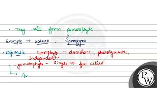 Which type of lifecycle is shown by Kelps Ectocarpus and Polysiphonia a Haplontic b Diplont [upl. by Skeie]