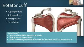 Shoulder Lecture OCS Prep Course [upl. by Lexy]