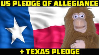 US and Texas Pledge of Allegiance for children preschool and kindergarten [upl. by Elleda929]