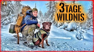 3 TAGE Wildnis im SCHNEE mit HUND  BIWAK im WINTER  Survival Mattin [upl. by Hiltner]