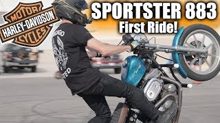 Sportster 883 First Ride  Is It A WEAK Cruiser [upl. by Proudfoot]