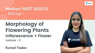 Morphology of Flowering Plants  Inflorescence  Flower  L3  Medhavi NEET 202223  Komal Yadav [upl. by Robbi]