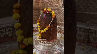 🔱 महादेव 🔱instagram love bhajan lovemusic om kedarnath shyam youtubeshorts mahakal mahadev [upl. by Iem]