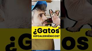 ¿Gatos hipoalergénicos [upl. by Nur]