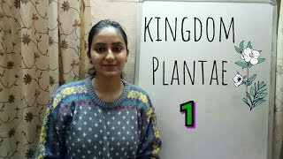 Kingdom Plantae  Biological classification part5  Class XI  Lecture 33 [upl. by Arst433]