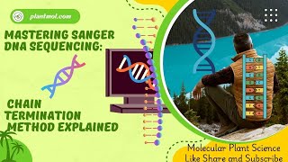 Mastering Sanger DNA Sequencing Chain Termination Method Explained [upl. by Abibah]