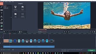 Movavi Video Editor Review amp Tutorial  Movavi Video Editor Step By Step Demo [upl. by Inacana]