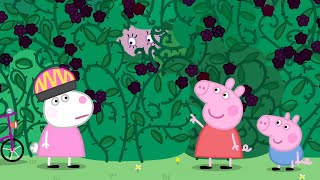 Peppa Pig Nederlands  Braamstruik  Tekenfilms voor kinderen [upl. by Janean]