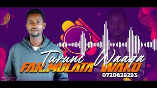 New Oromo Gospel Song By Mulata Wako official Turuni Waaqa [upl. by Anasus]