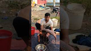 amazing blood ka fish cutting speedcutting fishcuttingskill fishing [upl. by Hobbs]