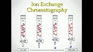 Chromatography in Urdu hindi  principles FSC  class 11 BS  MSC ions exchange chromatography [upl. by Yerffoeg178]