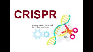 CRISPR  Clustered Regularly Interspaced Short Palindromic Repeats 2024 [upl. by Odnamra]