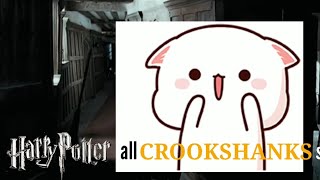 All Prominent Harry Potter Crookshanks Scenes [upl. by Urbai]