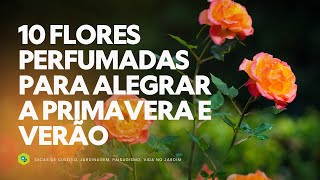 10 FLORES PERFUMADAS para ALEGRAR a PRIMAVERA e o VERÃO [upl. by Eirrok620]