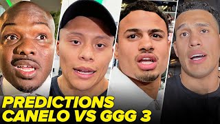 FIGHTERS amp EXPERTS PREDICT CANELO VS GGG 3 [upl. by Kirstyn34]