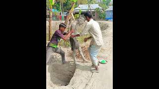 8  বাংলা ফানি ভিডিও । নাটকfuunyvairalbdemonmiya50comedybdemonmiya100 [upl. by Namlak]