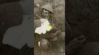 The BRUTAL Reality Of Trench Warfare history shorts war ww1 [upl. by Baum423]