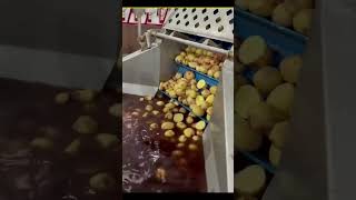 How Lays Chips Made In Factory llLays Chips Factory Main Kese Bante Hain ll Brain Train [upl. by Christen742]