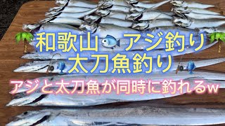 和歌山🐟アジ釣り🐟太刀魚釣り🎣アジと太刀魚が同時に釣れるw二刀流🎣短時間で楽しくいい釣果♪ [upl. by Allevon]