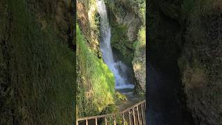 Waterfall  Wales  Natural beauty  wales waterfall forest mountains walk shorts nature [upl. by Yreva]