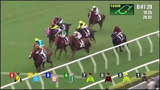 HK Horse Racing at Shatin  Race 6 09112024 prestonepie4395 [upl. by Wallinga180]