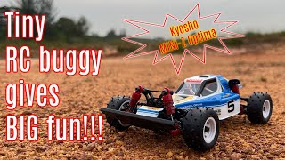 How to guide Kyosho MINIZ Buggy Optima rc kyosho miniz buggy [upl. by Demaria]