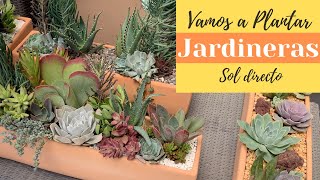 4 Ideas para plantar suculentas en jardineras [upl. by Haon389]