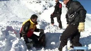 Avalanche  ces chiens qui vous sauvent la vie [upl. by Lorac]